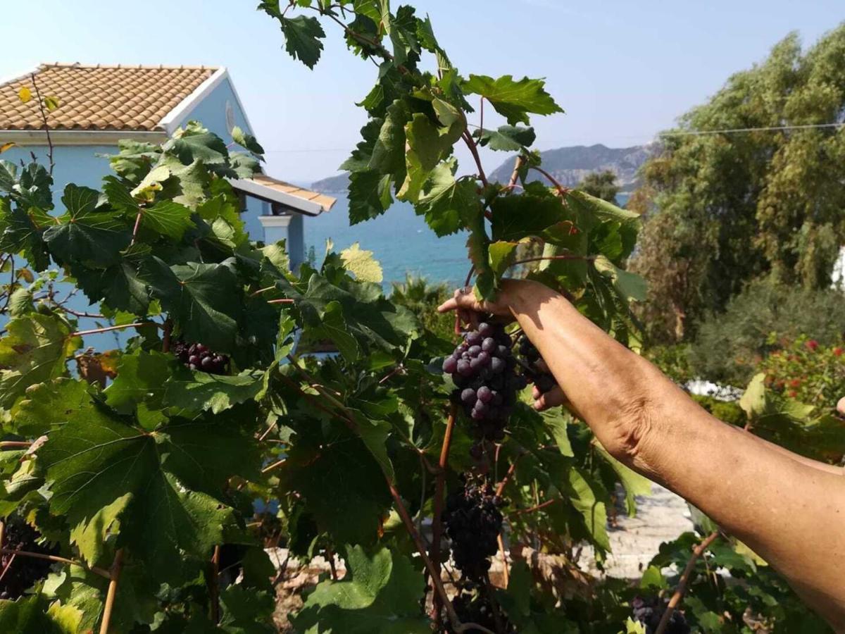 אגיוס גיורגיוס פגון Cozy Apartment Few Mins From Beach Corfu מראה חיצוני תמונה